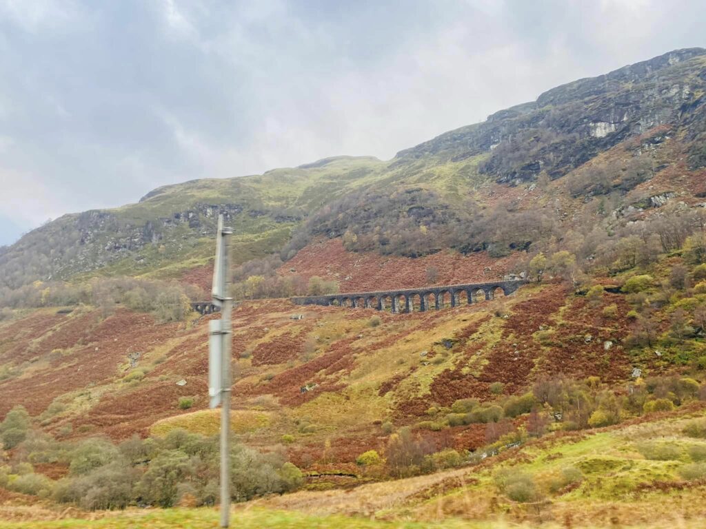 GLEN OGLE 33 (GO33) ULTRA